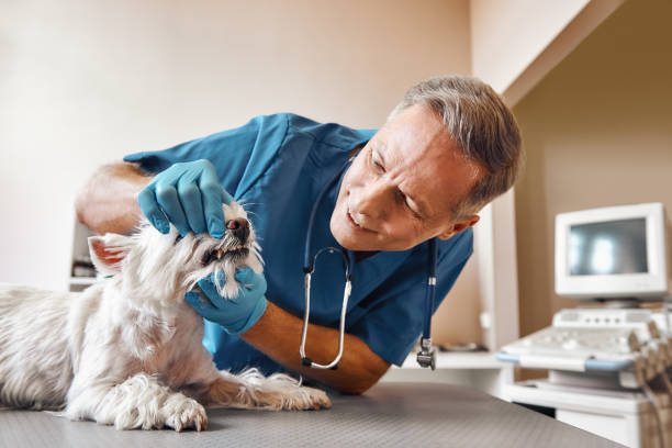 Best Emergency Tooth Extraction in Seaville, NJ